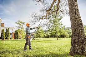 Best Tree Maintenance Programs  in Little Chute, WI